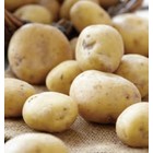 Patates kennebec 5 lbs