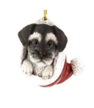 Schnauzer dans une tuque de Noël