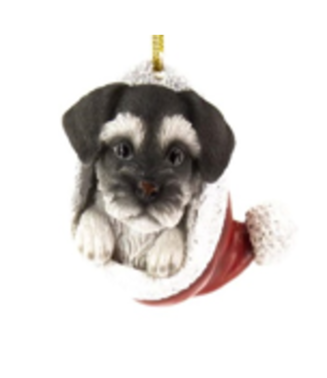 Schnauzer dans une tuque de Noël