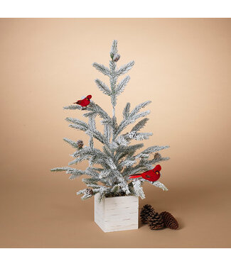 Sapin enneigé avec cardinal dans pot 24po H