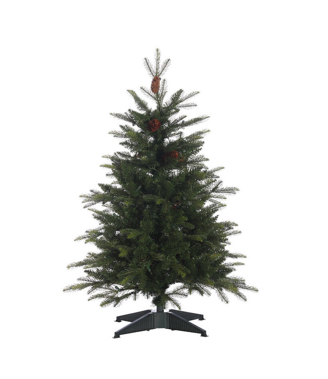 Sapin Dublin