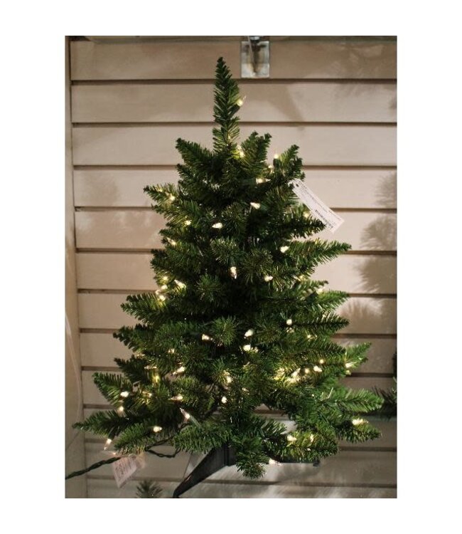 Sapin mini