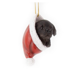 Labrador dans une tuque de Noël