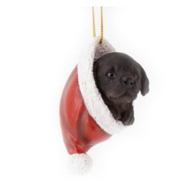 Labrador dans une tuque de Noël