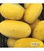 Ferme Tournesol Courge spaghetti bio