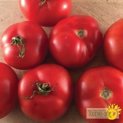 Ferme Tournesol Tomate rouge Québec *13 bio