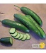 Ferme Tournesol Concombre libanais Super Zagross Bio