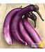 Ferme Tournesol Aubergine Pink Tung Long Bio