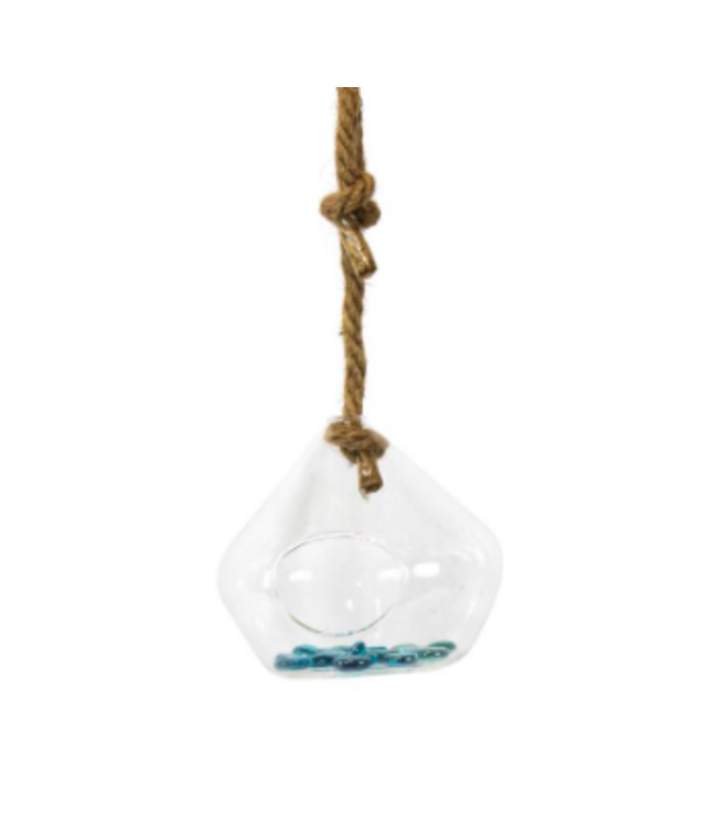 Terrarium cône suspendu