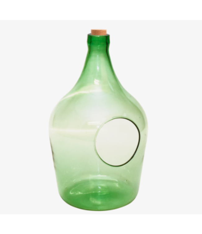 Terrarium bouteille avec ouverture à l'avant