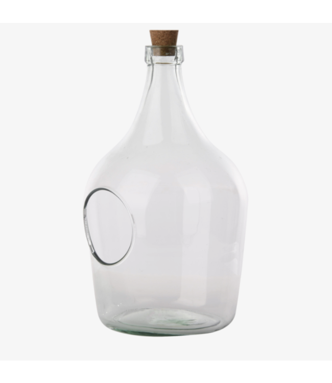 Terrarium bouteille avec ouverture à l'avant