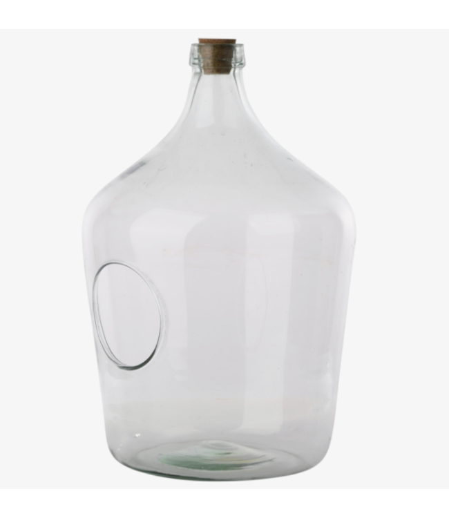 Terrarium bouteille avec ouverture à l'avant