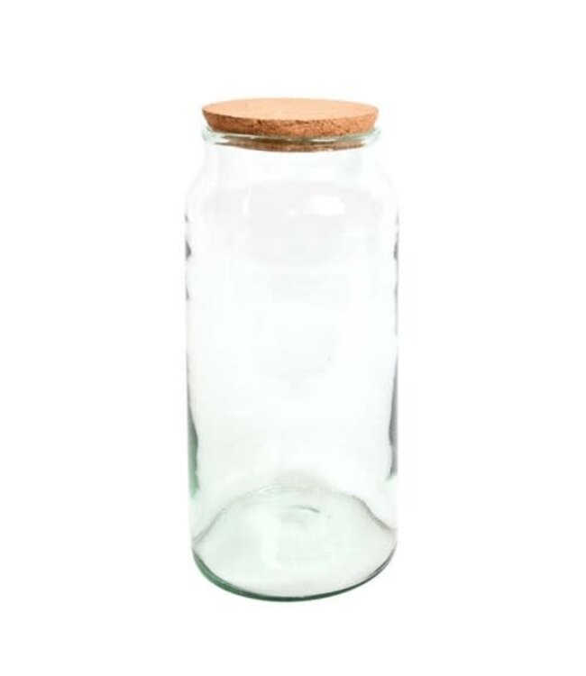 Terrarium cylindrique avec bouchon de liège