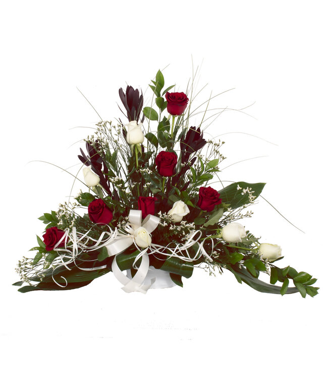 Signé Garneau Le bicolore - ARF-003