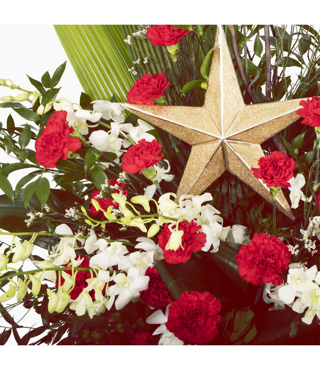 La grande étoile- ARF-007