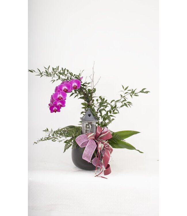 L'orchidée et sa lanterne - JP-013