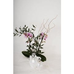 L'Orchidée et sa verdure - JP-007