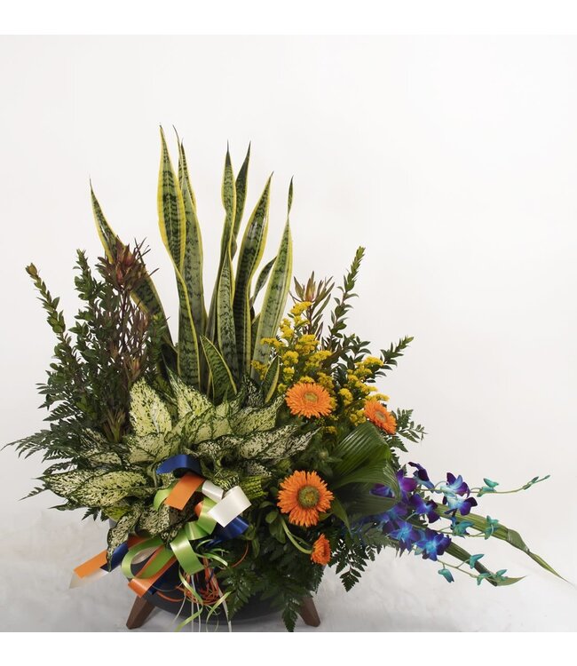 L'espace vert - ARF-029