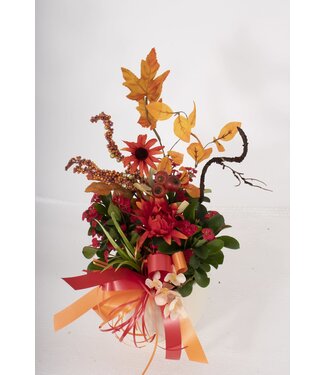 L'Euphorbia et ses décorations - JP-016