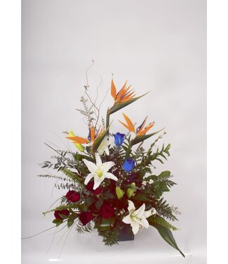 L'extravagant - ARF-047