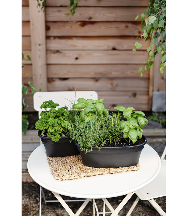 Balconnière Fines Herbes