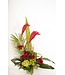 Ginger en folie - ARF-061