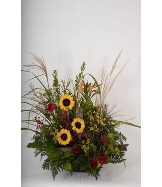 Tournesols enchantées - ARF-053