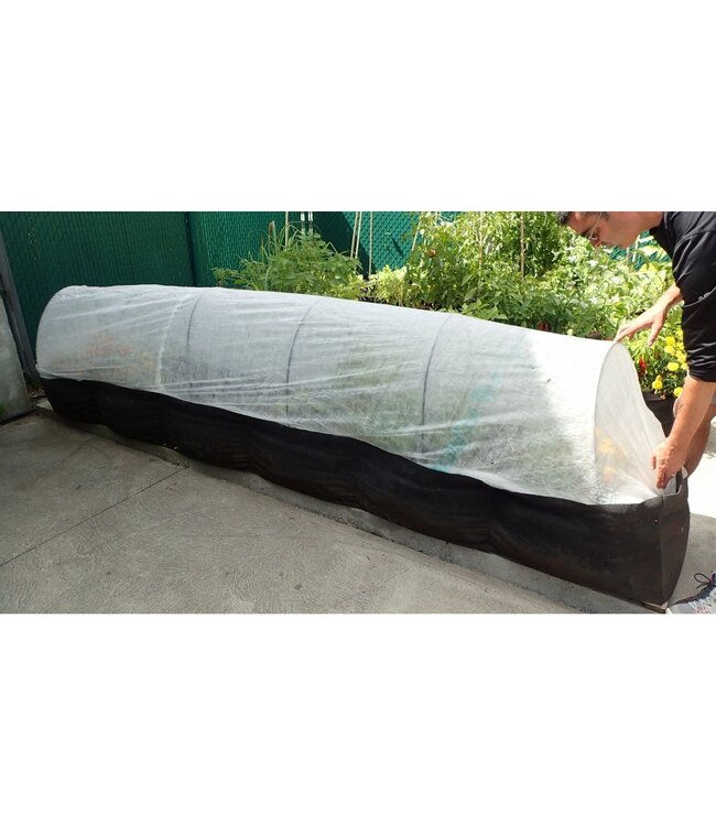 Carence Arceau PVC 74 po