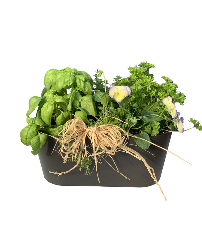 Balconnière de fines herbes