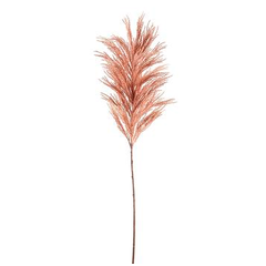 Pampas mauve