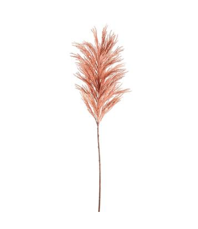 Pampas mauve