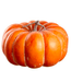 Citrouille