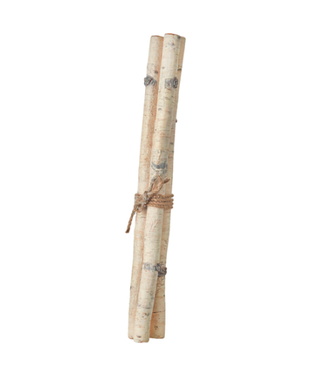 Lot de 3 branches de bouleaux