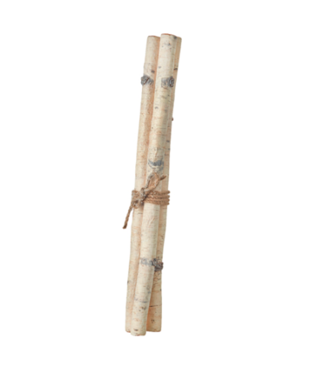 Lot de 3 branches de bouleaux