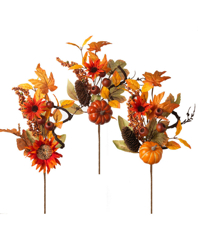 Tige de citrouille et feuilles d'automne
