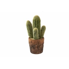 Cactus artificiel dans un pot de terracotta