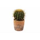 Cactus artificiel pot terracotta