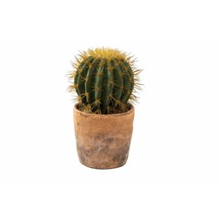 Cactus artificiel pot terracotta