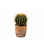 Cactus Artificiel en Pot Terracotta