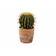 Cactus artificiel pot terracotta