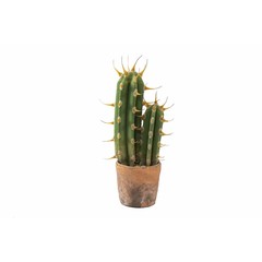 Cactus cierge artificiel pot terracotta