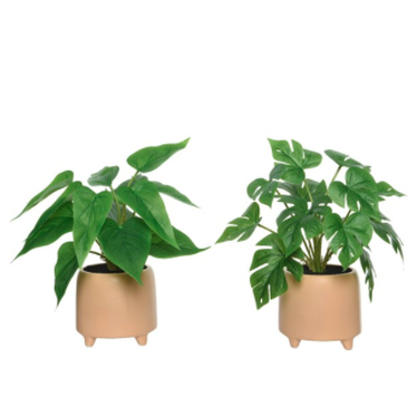 Philodendron artificiel avec cache-pot