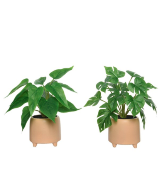 Philodendron artificiel avec cache-pot