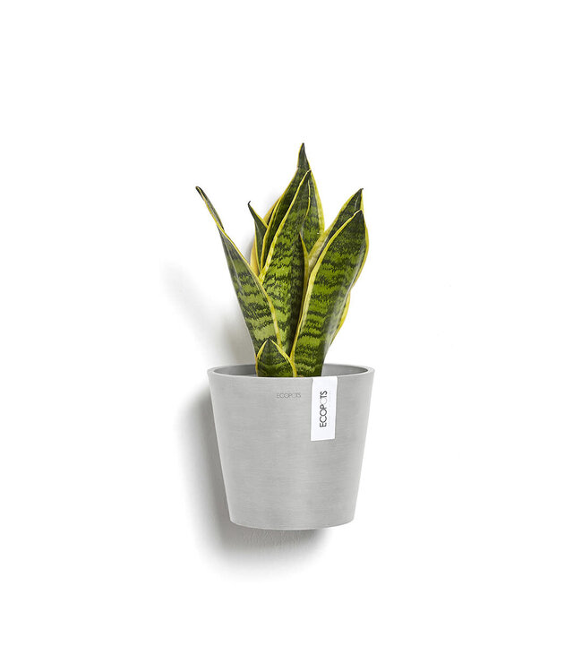 Ecopots Pot Amsterdam