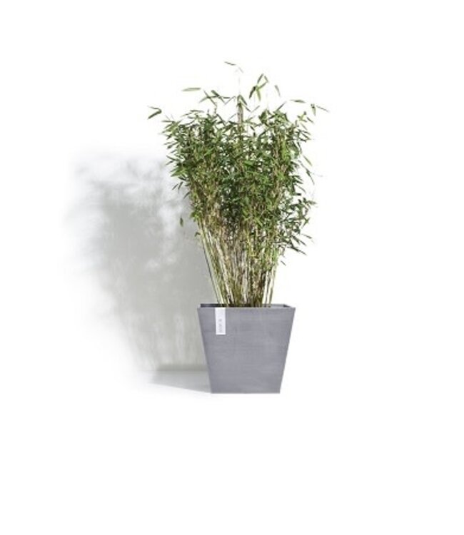 Ecopots Pot Rotterdam