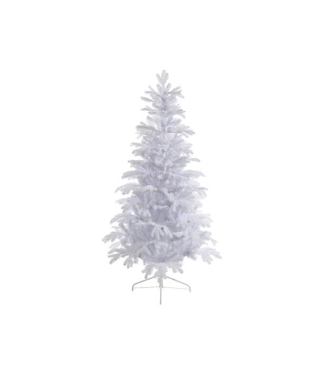 Sapin Sunndal givré blanc