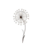 Pic de jardin fleurs ouverte