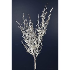 Bouquet de branche glacé