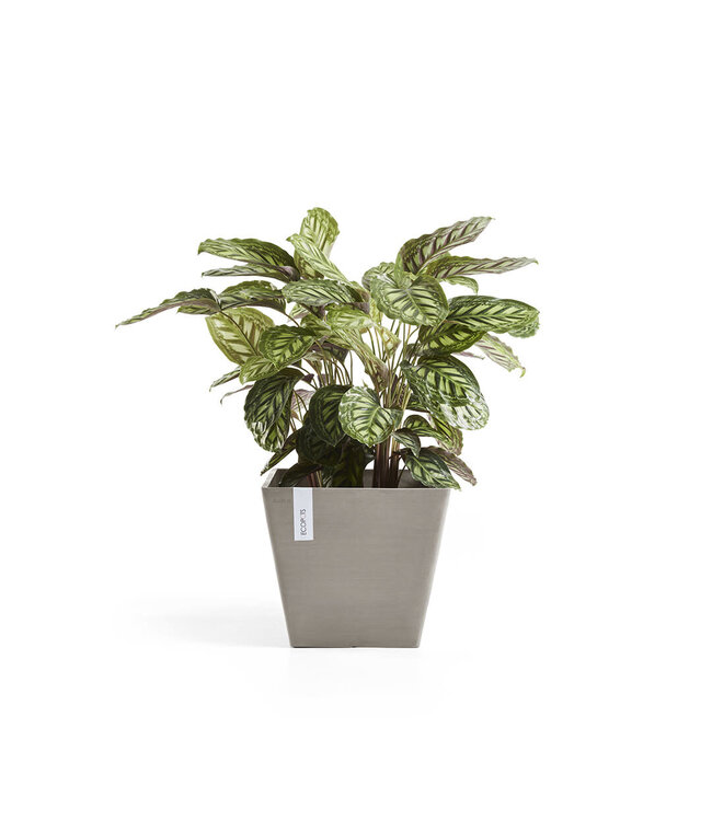 Ecopots Pot Rotterdam