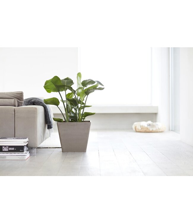 Ecopots Pot Rotterdam